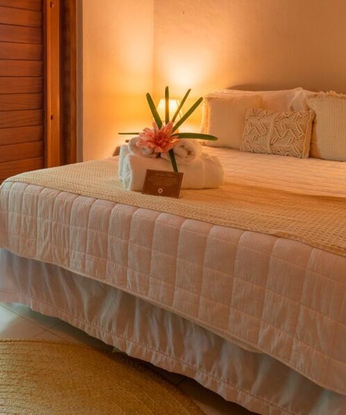 FEED_RECANTODOSOL_DEZ23_-800x600